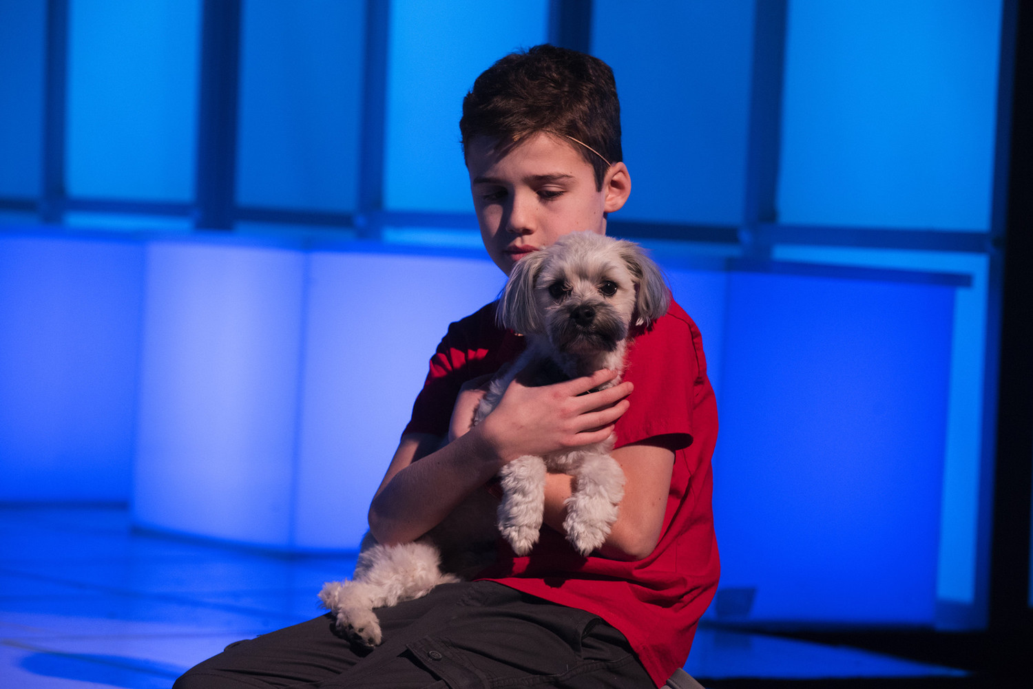 Interview: Dominic Torres of THE CURIOUS INCIDENT OF THE DOG IN THE NIGHT-TIME at Omaha Community Playhouse Image
