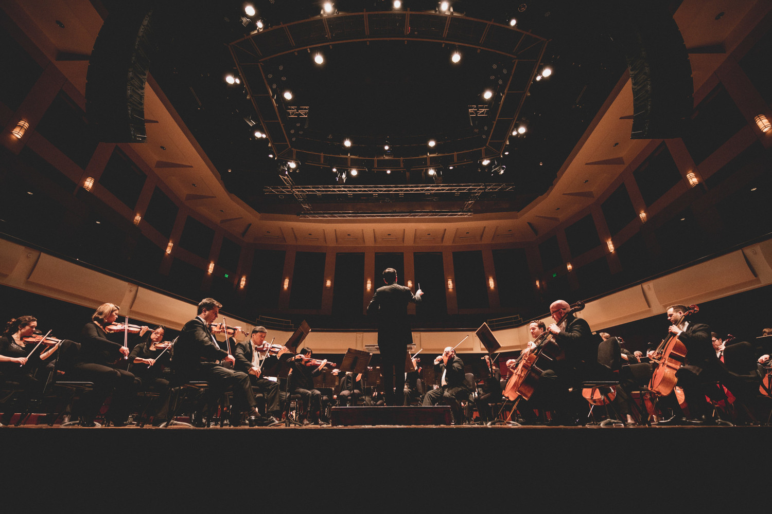 Review: The Alabama Symphony Orchestra Delivers Musical Mastery in CARMINA BURANA & THE RITE OF SPRING Image