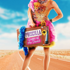 Casting Announced For Regional Professional Premiere Of Priscilla, Queen Of The Desert At The Queen's Theatre Hornchurch 