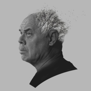 Box Office Open for THE FATHER from Jarrott Productions Image