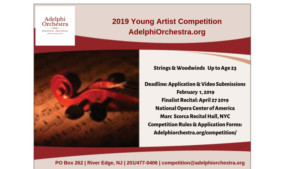 Adelphi Orchestra Announces Fifteenth Annual Young Artist Competition 