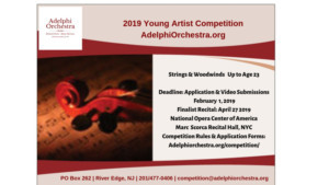 Adelphi Orchestra Announces Fifteenth Annual Young Artist Competition Image