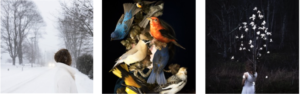 Cig Harvey presents New Exhibition YOU AN ORCHESTRA YOU A BOMB Image