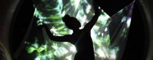 Introducing Kalavinka, The LEIMAY Annual Gala Honoring Meredith Monk Image