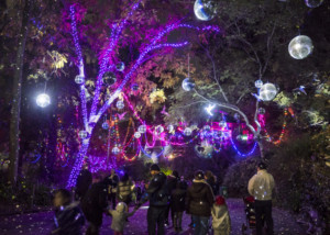 Holiday Happy Hour Parties for 21-And-Up Crowd At LA ZOO LIGHTS Image