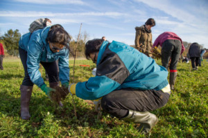 WICKED Raises Money for The Woodland Trust to Plant Trees Image