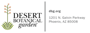 Desert Botanical Garden and Ballet Arizona Present MOMIX's OPUS CACTUS Image