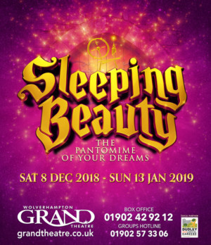 Grand Theatre Announces 2018/19 Pantomime, SLEEPING BEAUTY  Image