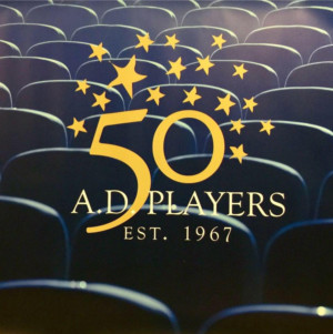 A.D. Players Names New Director Of Development, Houstonian Sheri Foreman Image