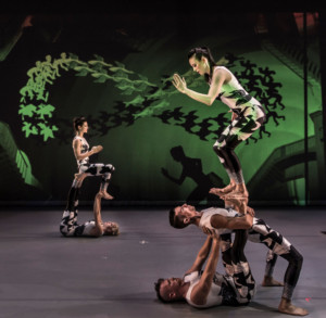 ART OF CIRCUS Swings Its Way To The State Theatre In January Image