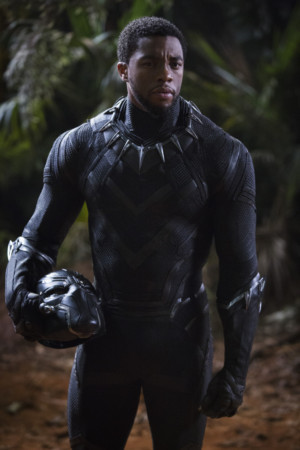 Marvel Studios' BLACK PANTHER Comes to El Capitan, 2/15 - 25 Image