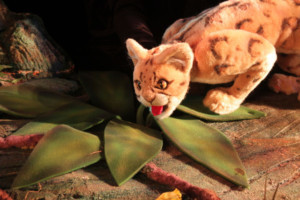 The Rainforest Comes Alive At The Center For Puppetry Arts 