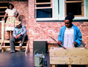 Pulitzer Prize Winning FENCES Opens at Ridgefield Theater Barn, 2/2 Image