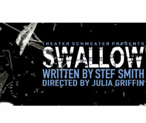 SWALLOW by Stef Smith Opens 2/2 at Theatre Schmeater 