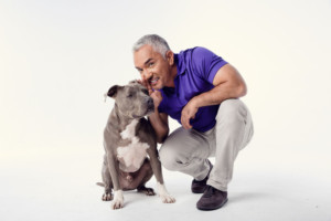 Dog Guru Cesar Millan Comes to MPAC This February Image