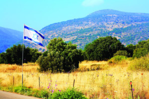 Lynn University To Present Jerry Herman's Israel-Based Musical MILK AND HONEY Image