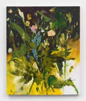Rose Art Museum Announces Spring 2018 Exhibitions Image