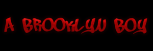 A BROOKLYN BOY Officially Opens Off-Off Broadway February 15 Image