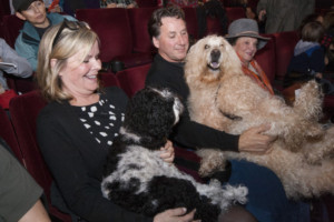 The Lark Theater presents NEW YORK DOG & CAT FILM FESTIVAL Image