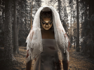 Premiere Of Louis Viljoen's Gripping Horror-Comedy THE DEMON BRIDE Comes to Woordfees  Image