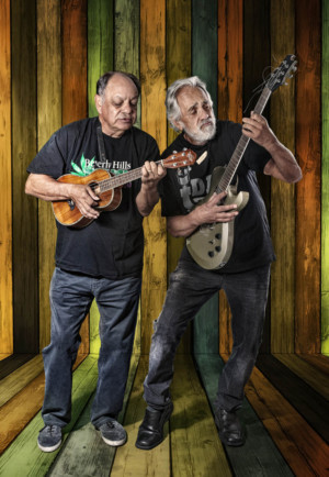 Cheech And Chong Come to Mayo Performing Arts Center 4/19 Image