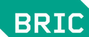 BRIC Announces Programming For 2nd Annual BRIC OPEN FESTIVAL OF ARTS AND IDEAS Image