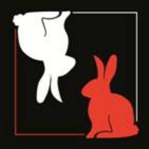Artists Rep Announces WHITE RABBIT RED RABBIT By Nassim Soleimanpour 