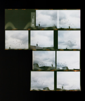 FotoFocus Presents Conversation With Photographer Zoe Leonard, 3/29 Image