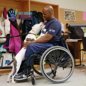 DOGS! HEROES FOR LOVE! to be Presented at The Prop Thtr Image