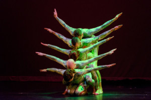 PUSH Physical Theatre Debuts with RPO Image