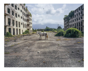 New Online Exhibition by Pavel Wolberg Announced Image