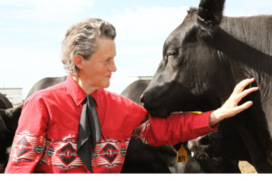 Temple Grandin National Book Tour Stops At The Arvada Center  Image