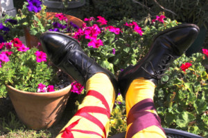 Parson's Nose Presents Clearly Classics: Shakespeare's TWELFTH NIGHT Image