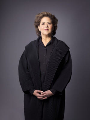 Schimmel Center To Present Anna Deavere Smith In Notes From The Field, 6/1 & 6/2 Image