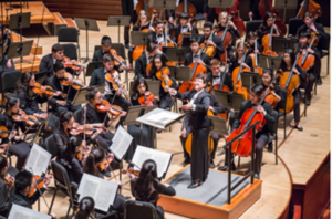Phila. Young Artists Orchestra Performs 23rd Annual Festival Concert 