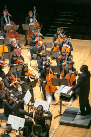 Phila. Young Musicians Orchestra Announces 2nd Annual Festival Concert Image