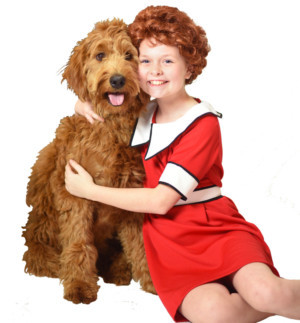 ANNIE Comes to Beef & Boards Dinner Theatre, 5/31 