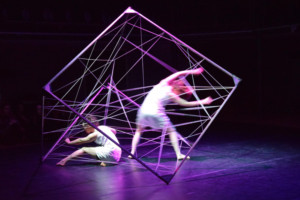 UAL Announces New Total Performance School Image