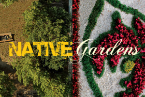 Borders Tested In NATIVE GARDENS At TheatreWorks Beginning This August Image
