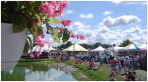 The 56th Arts & Crafts Festival Artists Are Full Steam Ahead Image