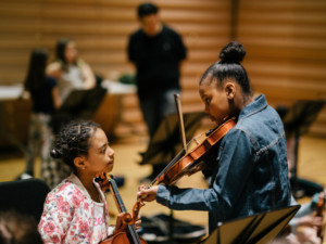 Carnegie Hall's Weill Music Institute Announces 2018-2019 Grant Recipients For PlayUSA Image