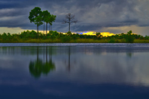 BaCA Presents Stunning Photo Exhibit 'The Everglades: Spirit Of The Land' Image