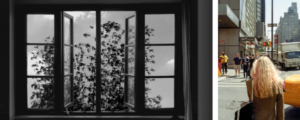 FotoFocus Biennial Announces Program Week Image