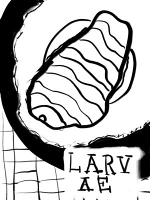 LARVAE Comes to the Alchemical Theatre Image