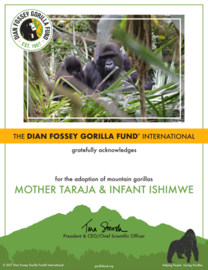 Donations From BTG's 8/5 Performance Of TARZAN Benefited Dian Fossey Gorilla Fund International 