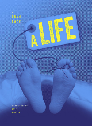 A LIFE To Open At The Armory This Fall Image