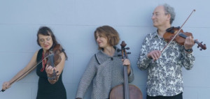 World-class Melbourne Improv String Trio BOWLINES Releases Second Album 