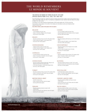 The World Remembers Centenary Display Starts 9/11 Image