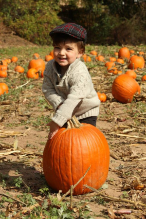 Fun Fall Activities Announced At Liberty Hall Museum Image