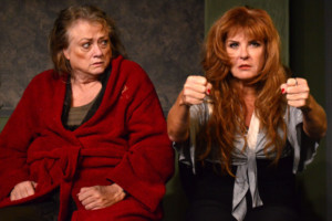 BREADCRUMBS Playwright Jennifer Haley To Speak At Group Rep Today Image